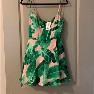 NWT size medium Buddy Love dress